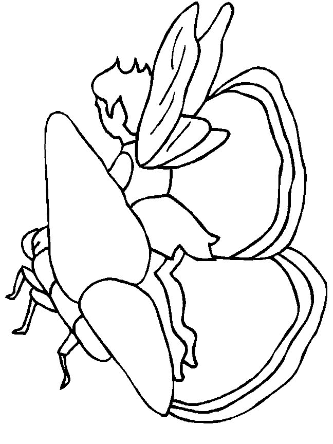 A fairy coloring pages