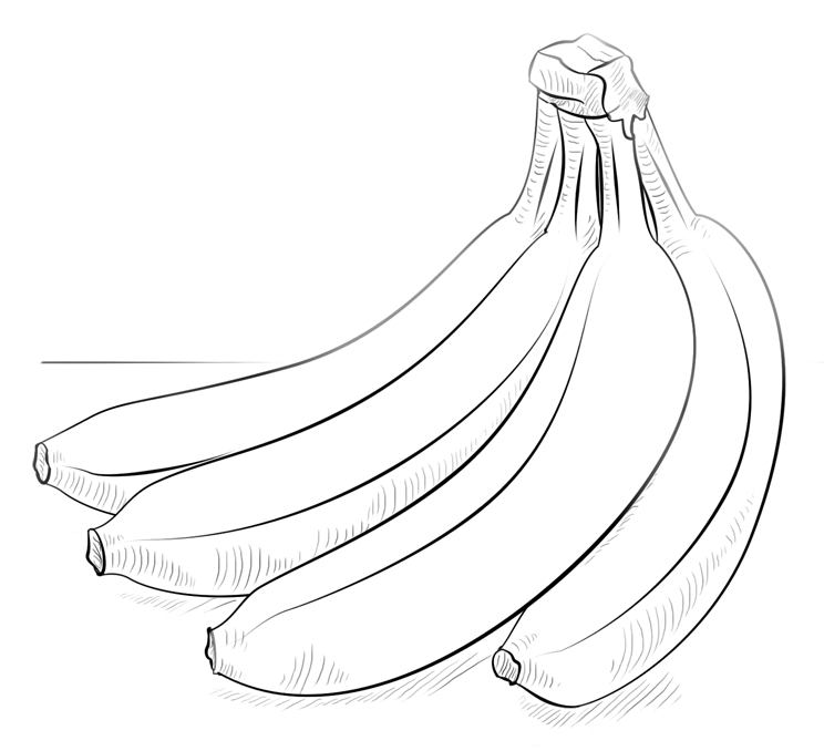 Banana bunch drawing free