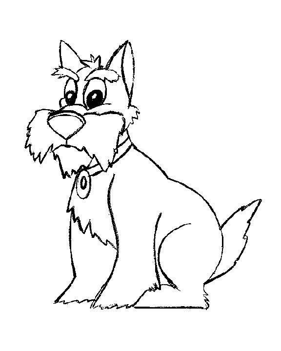 Bearded dog coloring page