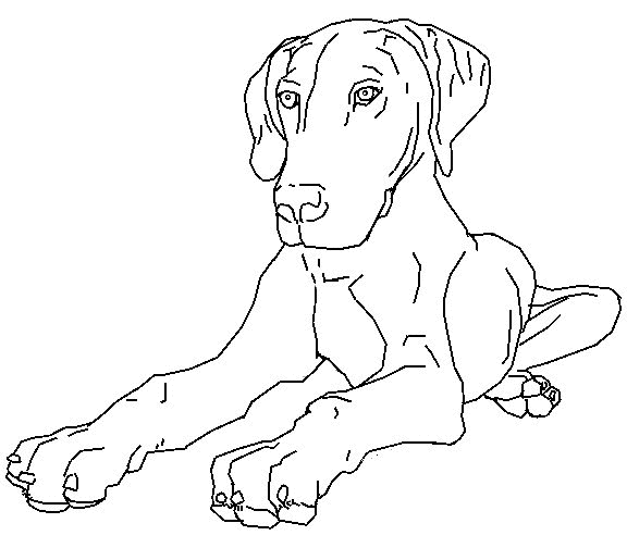 Big dog coloring page
