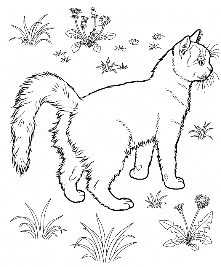 Cat walking coloring page