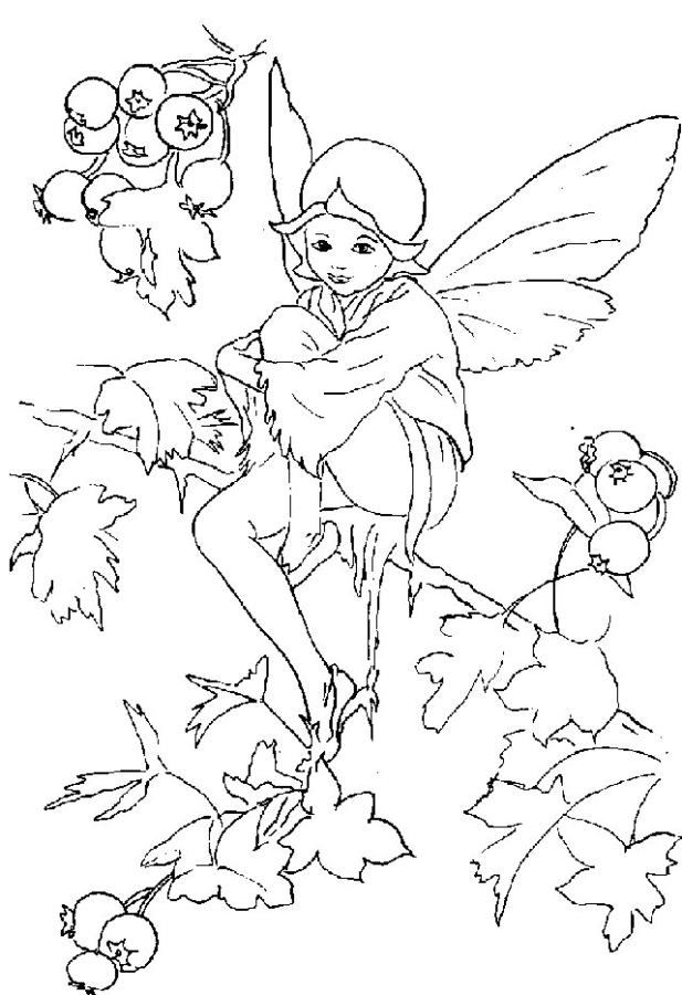 Coloring page with a fairy sitting on a branch