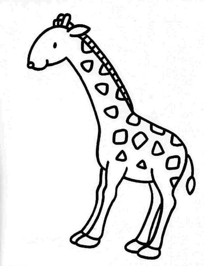 Cute Giraffe Drawing