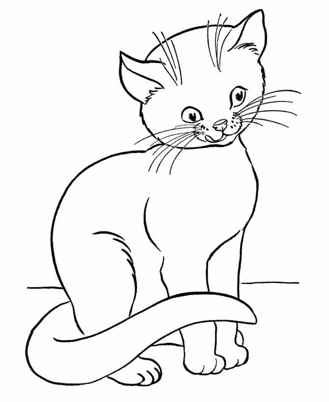 Cute cat drawing