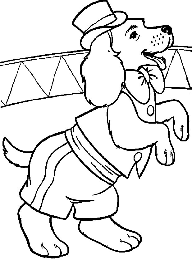 Dog with clothes coloring page