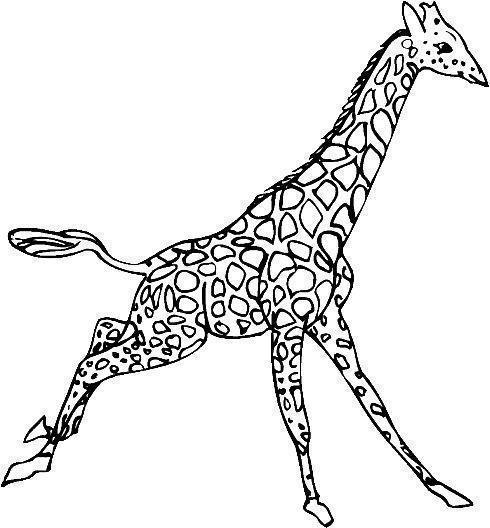 Drawing of a Running Giraffe