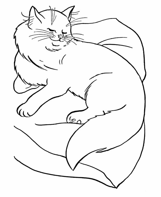Drawing of a cat lying on her bed