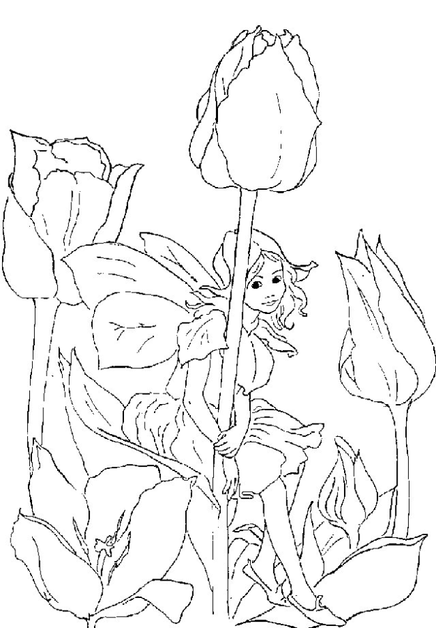 Drawing of a fairy and flowers