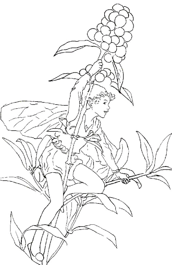 Drawing of a fairy on top of a plant