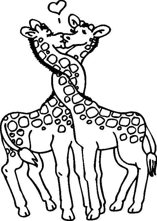 Drawing of a giraffe couple