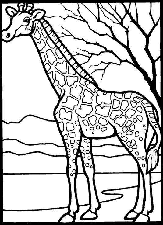 Drawing of a giraffe