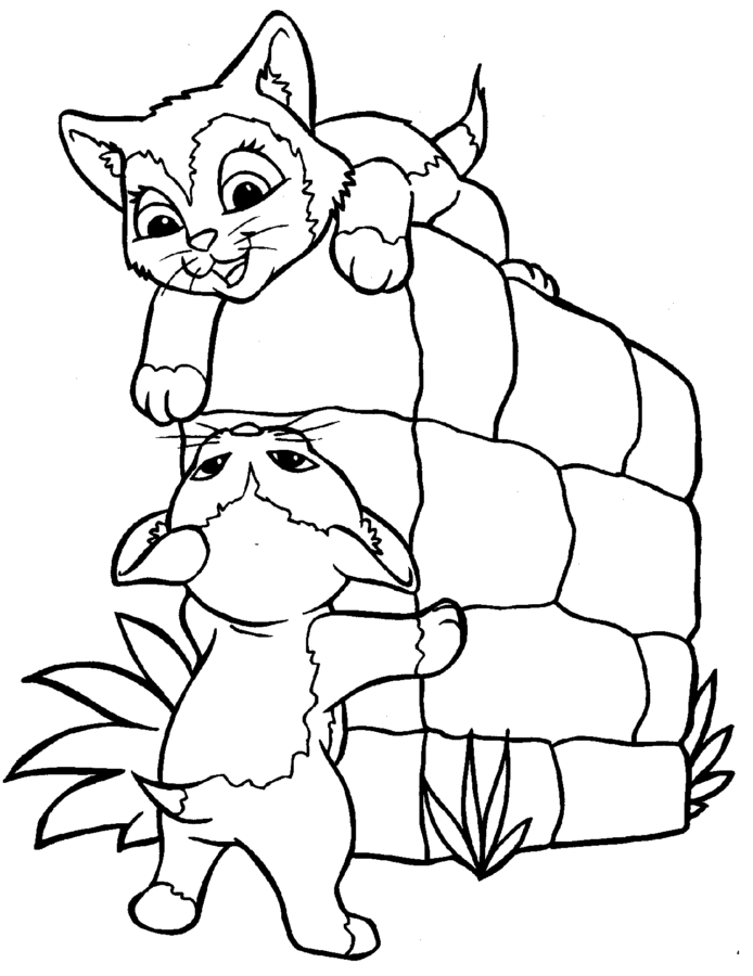 Drawing of kittens for children to color