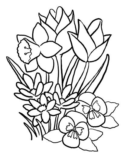 Flower drawing for kids coloring