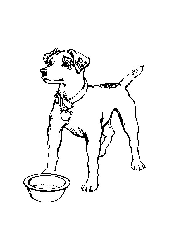 Free dog coloring pages to print