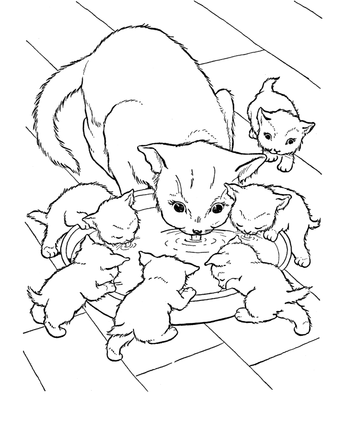 Kittens drinking milk coloring page