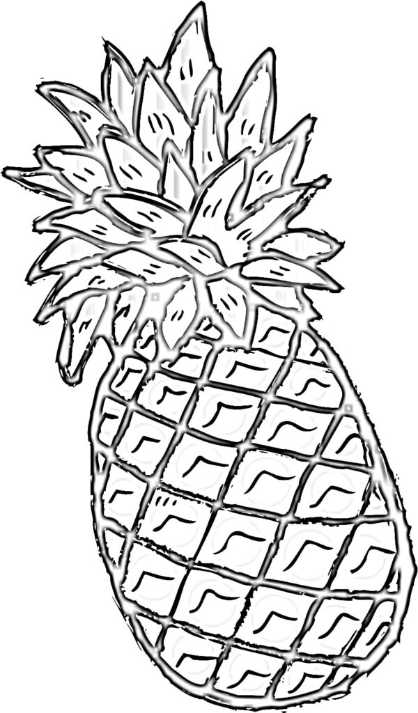 Pineapple coloring pages printable