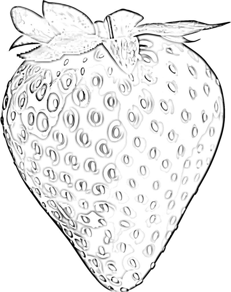 Strawberry coloring pages printable