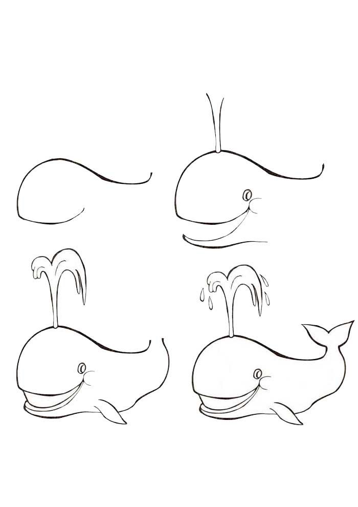 how to draw a whale