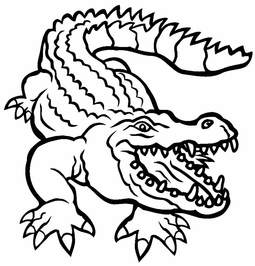 A Fierce Crocodile Drawing for Coloring
