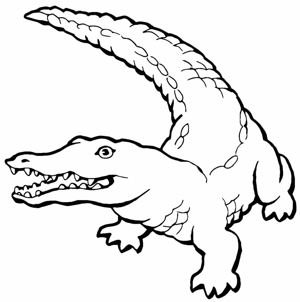 Alligator coloring pages for adults