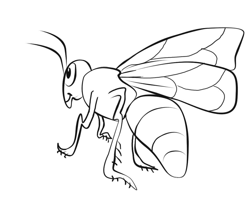 Bee coloring pages for adults - Colorless Drawings