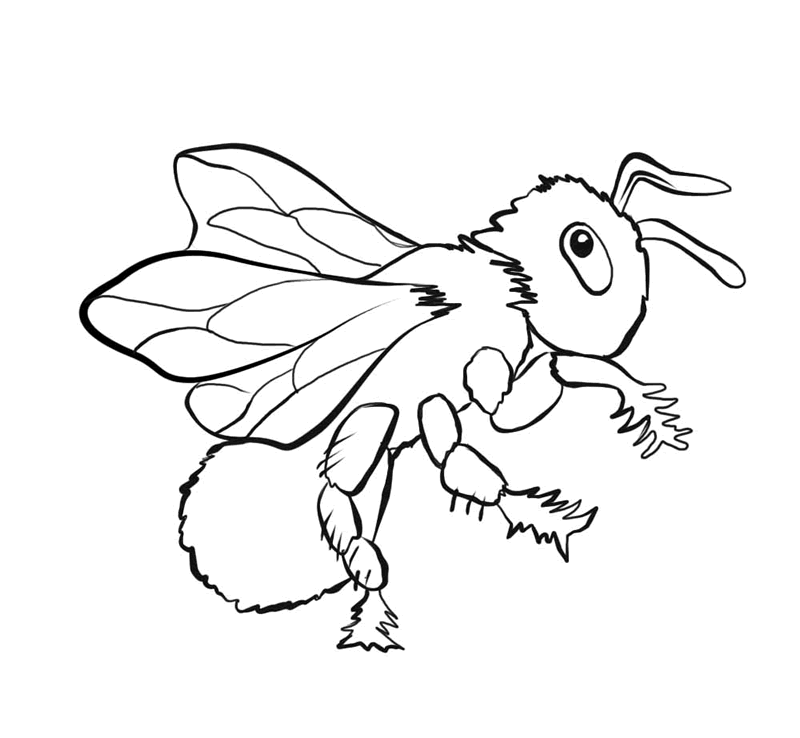 Black and white bee coloring page