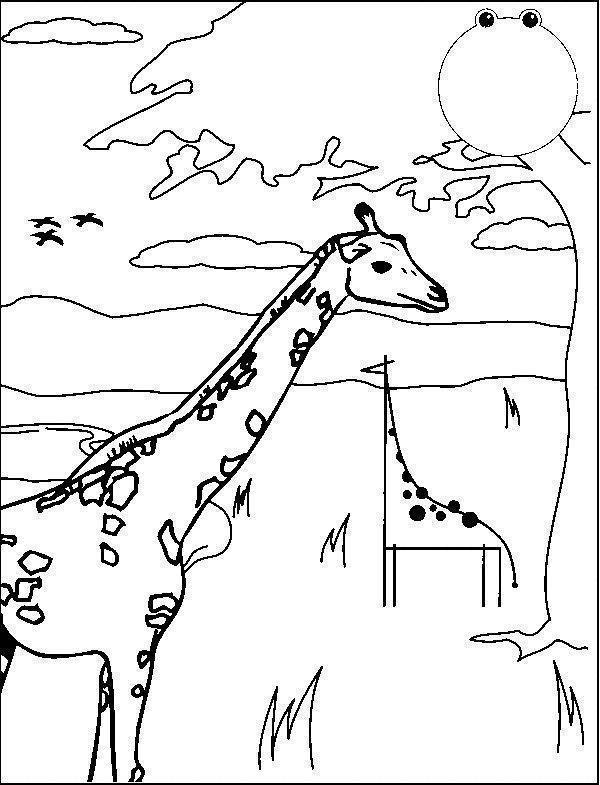 Coloring Pages Giraffes