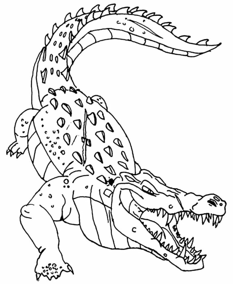 Coloring Pages of a ferocious alligator – Colorless Drawings