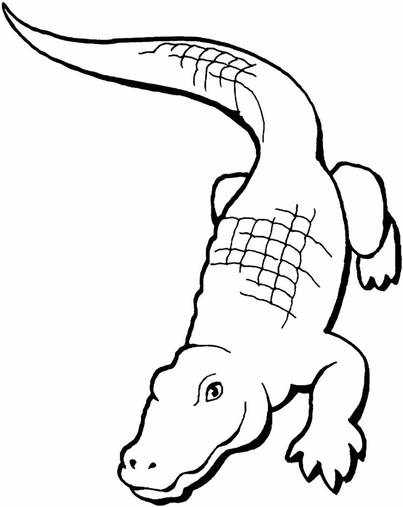 Coloring Pages of a reptile