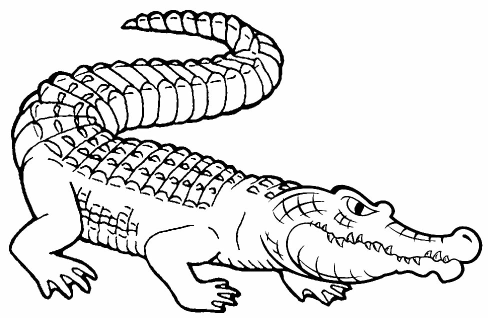 Coloring Pages of an alligator with the mouth closed