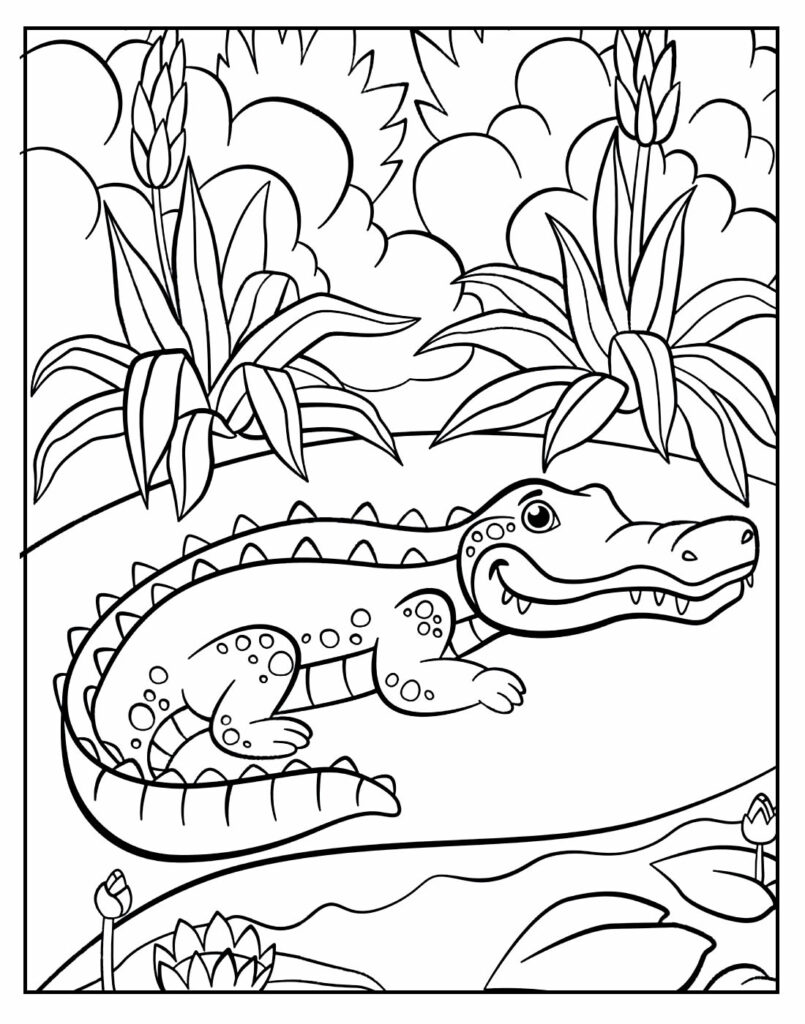 Coloring page of alligator