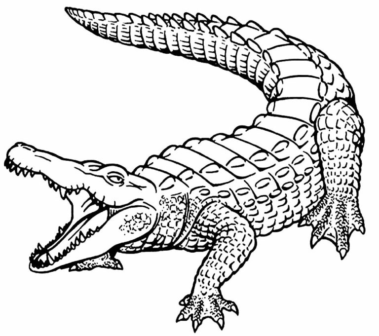 Drawing of a Creepy Alligator - Colorless Drawings