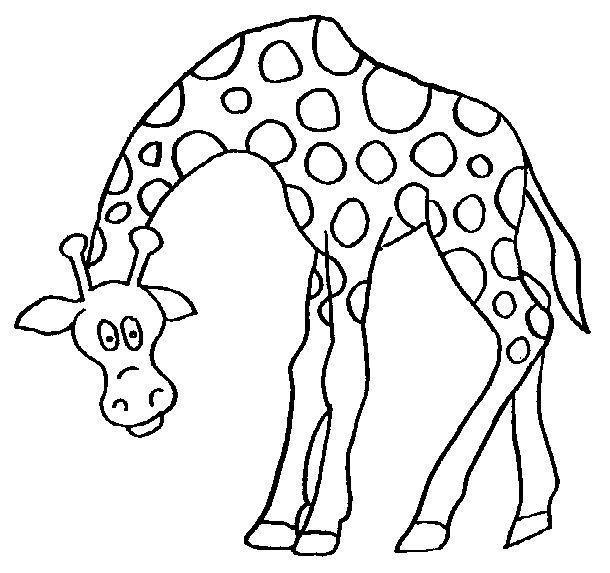 Drawing of a giraffe for children