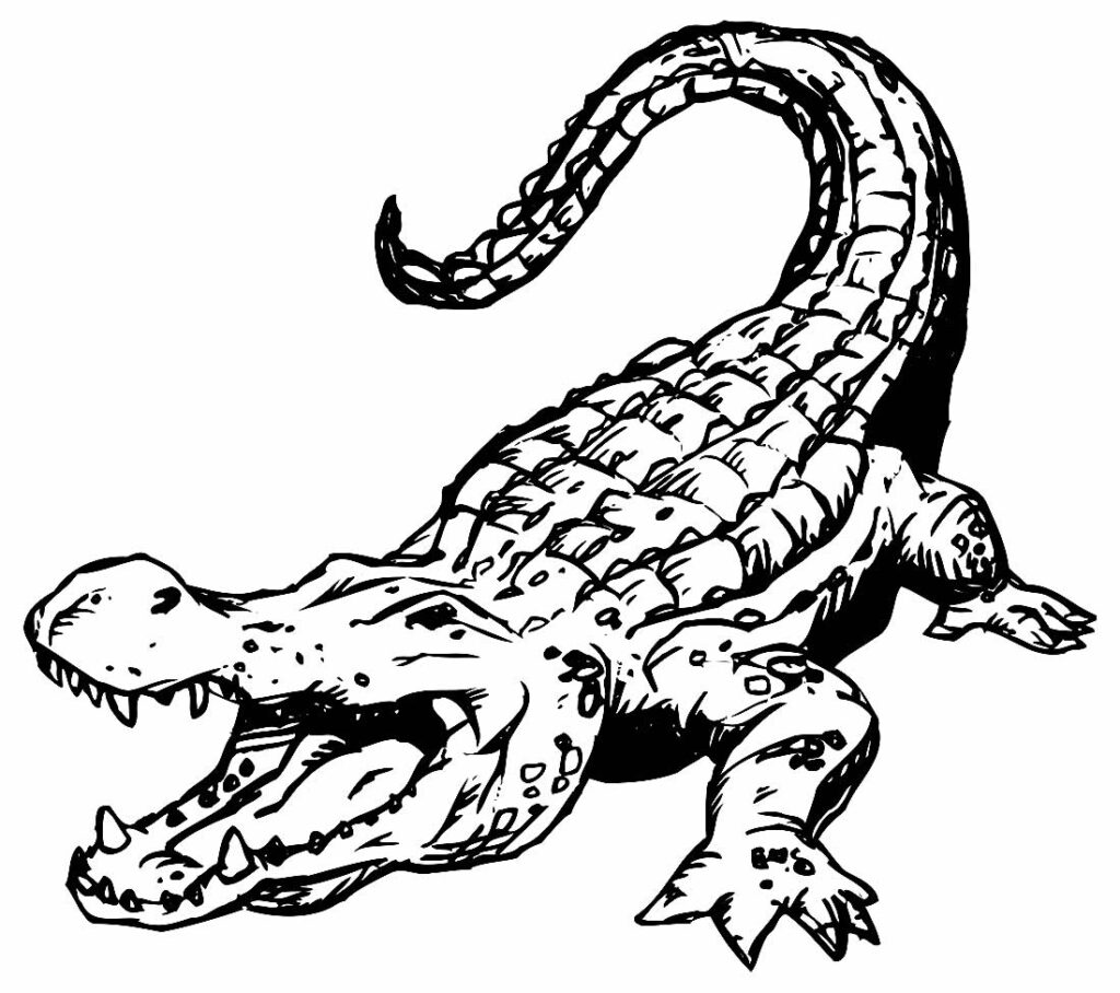 Large crocodile coloring page