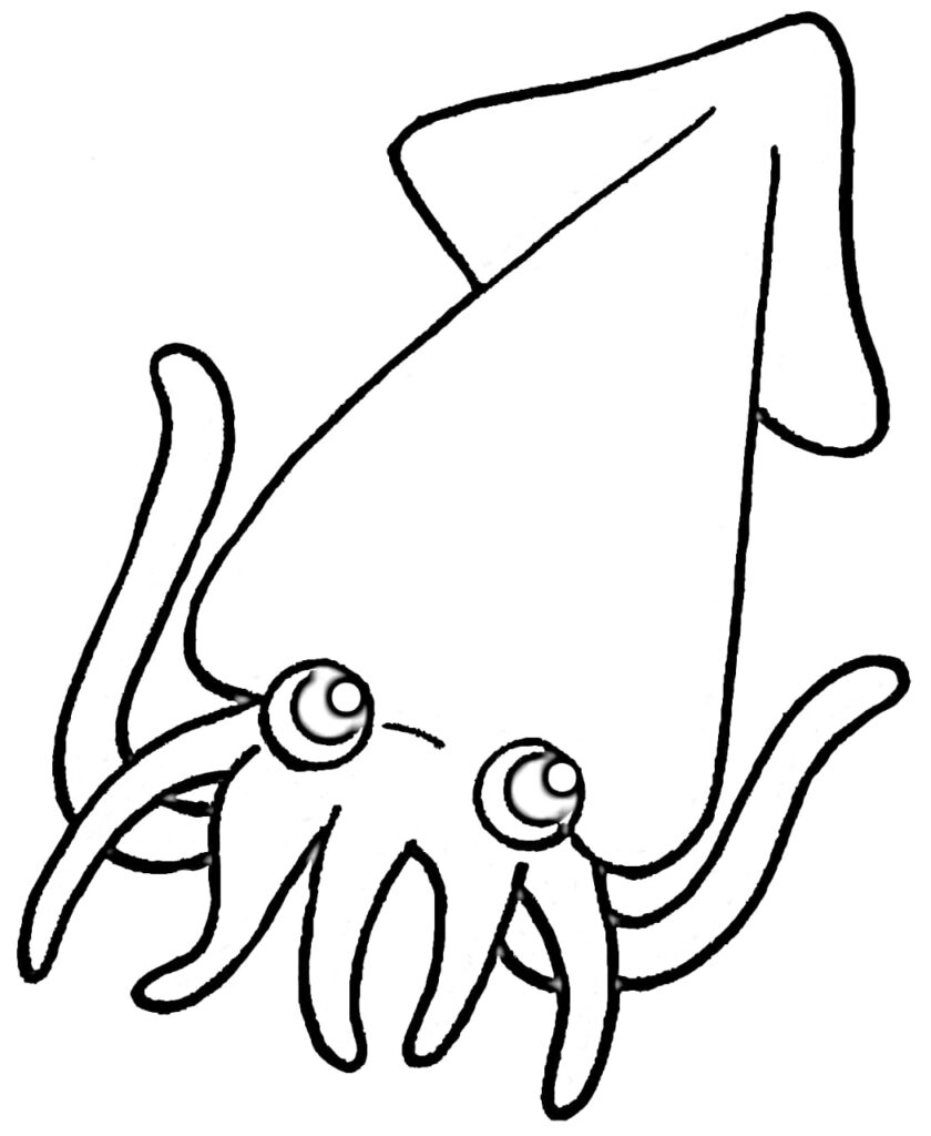 Squid coloring page printable