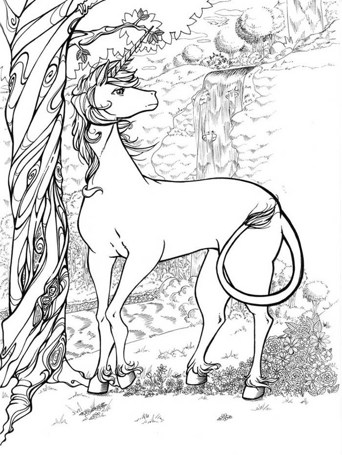 Unicorn coloring pages for adults