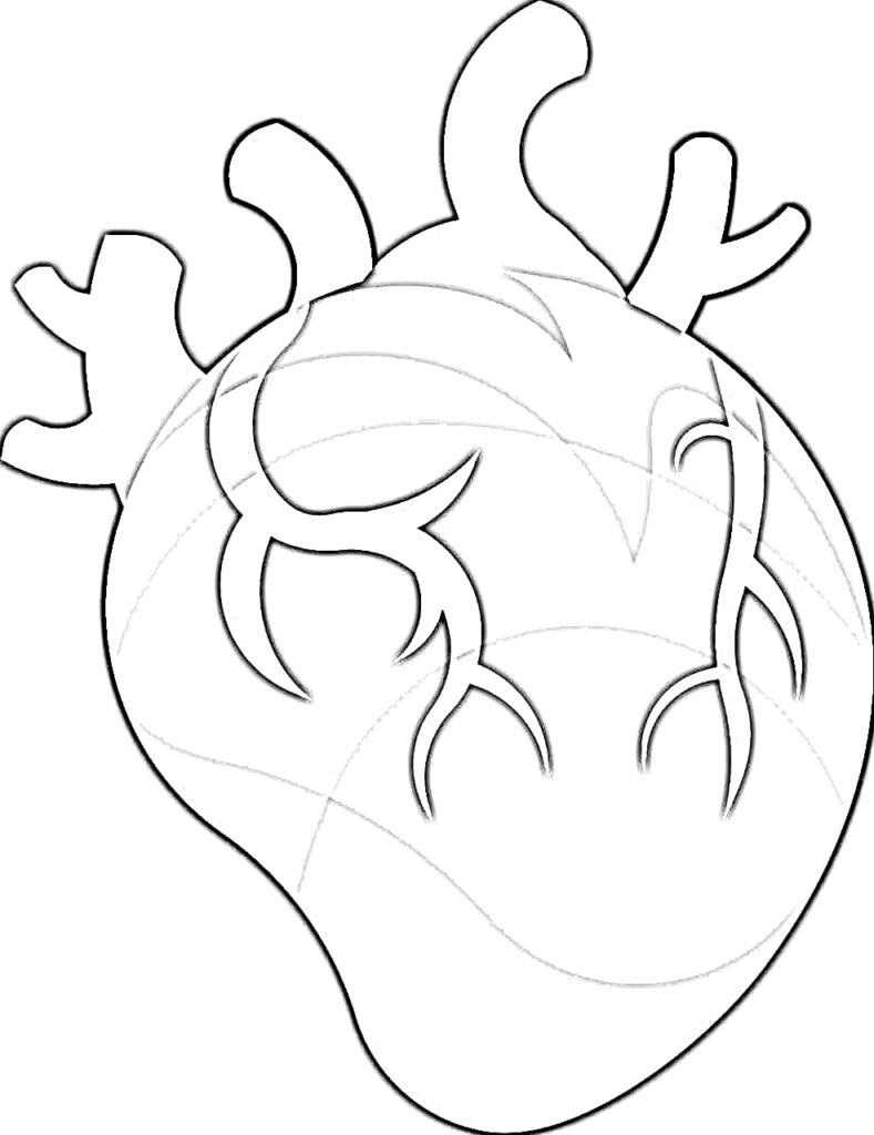 Realistic human heart coloring page