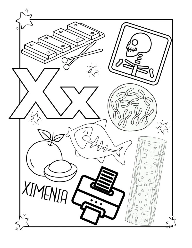 Drawings for kids with the letter X