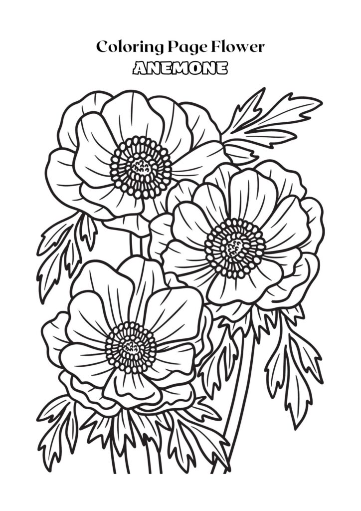 Black and White Outline Anemone Flower Coloring Page Adult