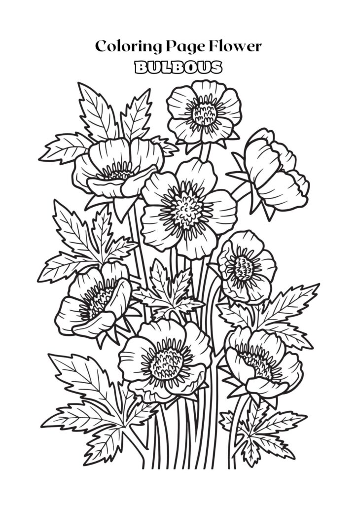 Black and White Outline Bulbous Flower Coloring Page Adult
