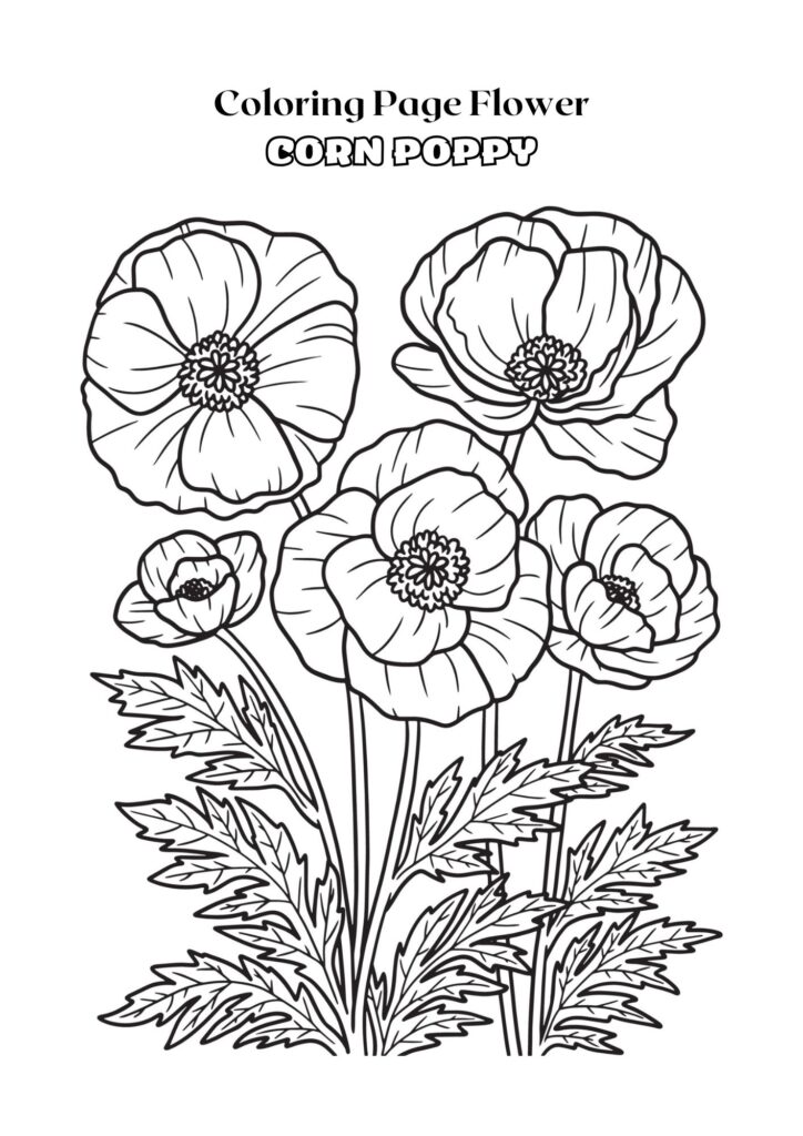 Black and White Outline Corn Poppy Flower Coloring Page Adult