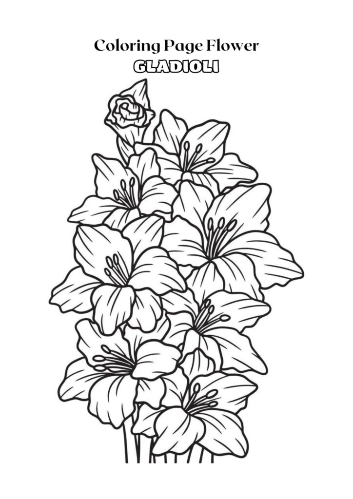 Black and White Outline Gladioli Flower Coloring Page Adult