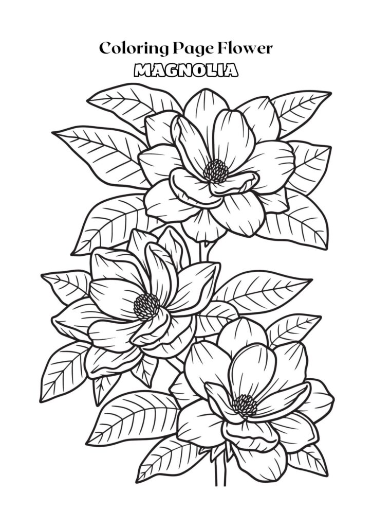 Black and White Outline Magnolia Flower Coloring Page Adult