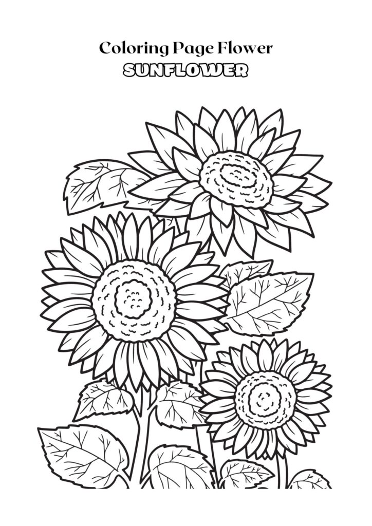 Black and White Outline Sunflower Coloring Page Adult