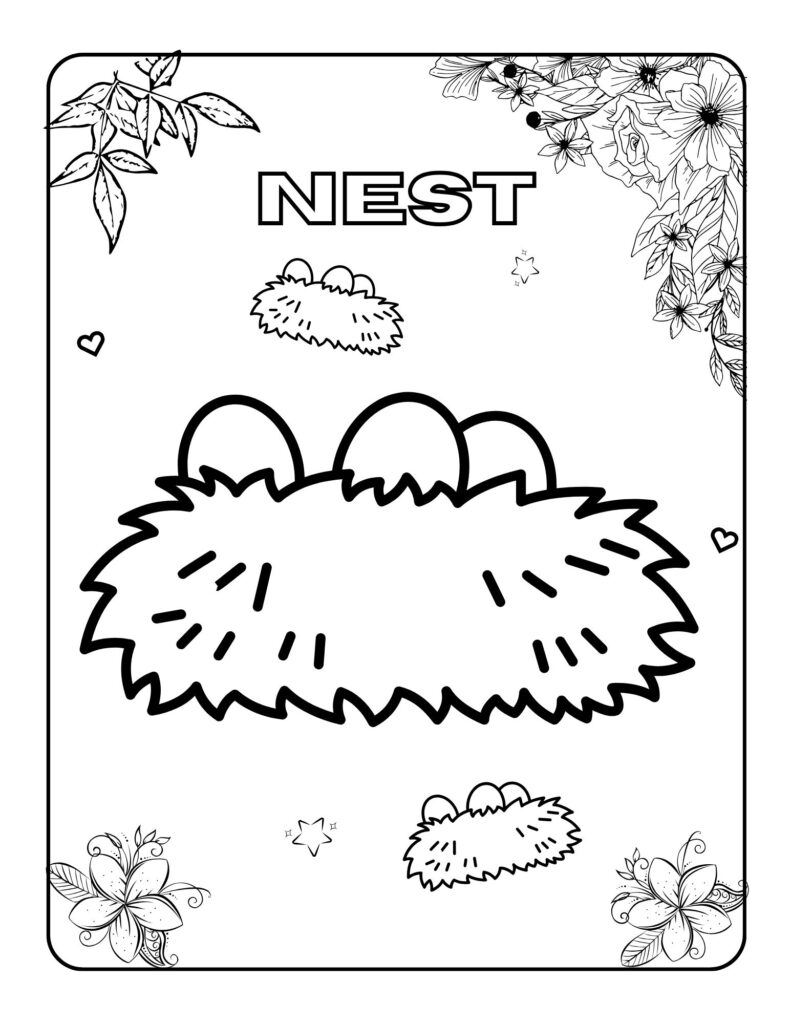Nest-Coloring Adventures A Journey Through Art