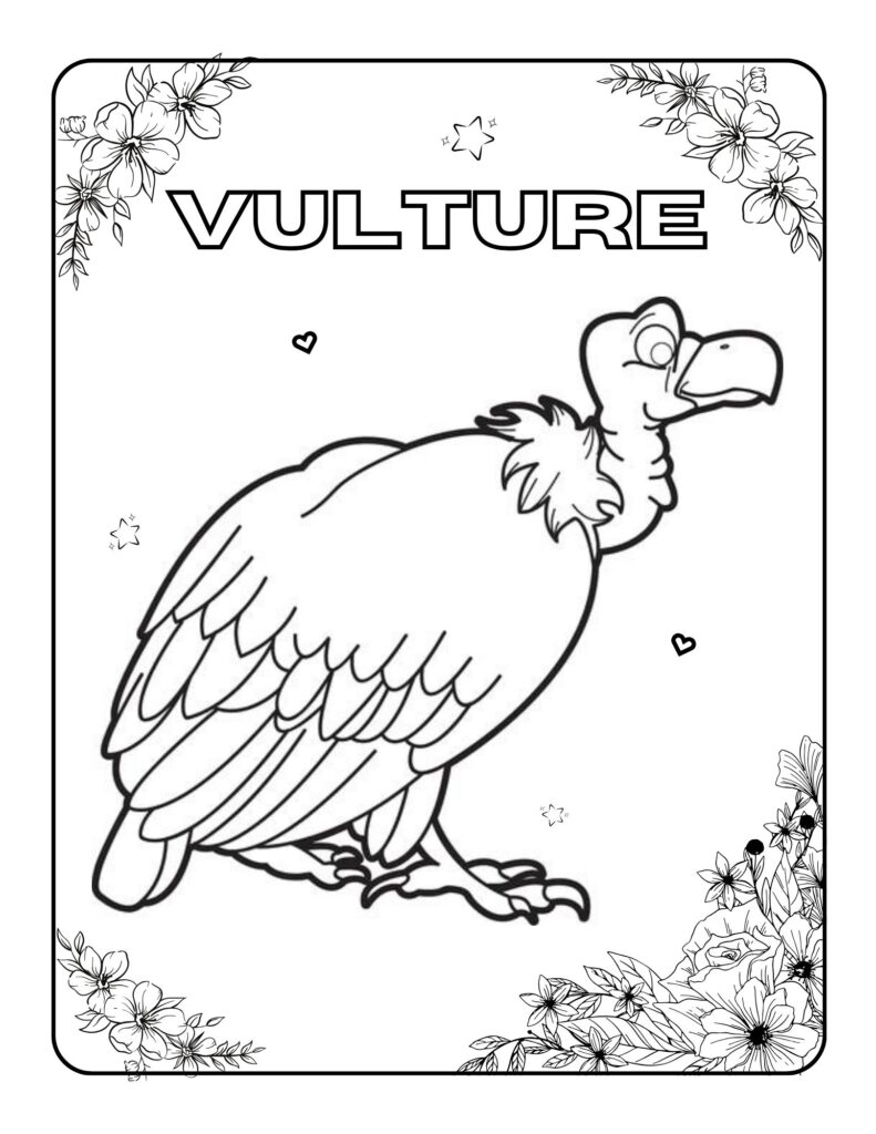 Vulture-Coloring Adventures A Journey Through Art